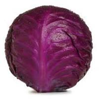 Fresh Cabbage