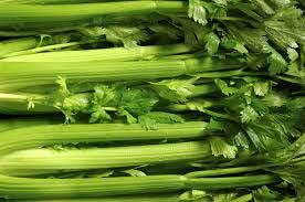 Fresh Celery