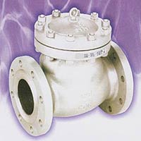 Swing Check Valve