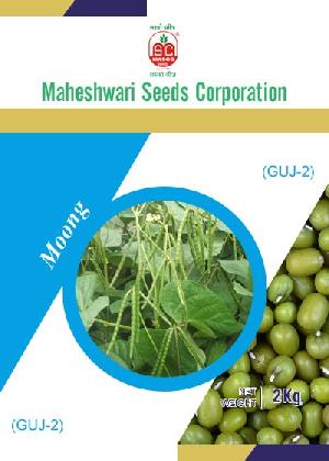 GUJ-2 Moong Seeds