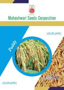 Gurjari Paddy Seeds