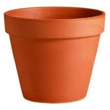 plant pots