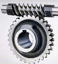 Automotive Worm Gear