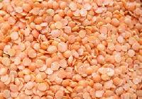 Masoor Pulses