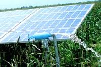 Solar Agriculture Pumps