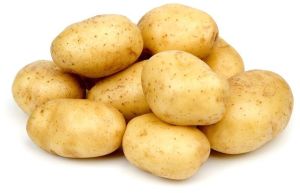 Fresh Potato