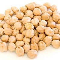 Kabuli Chickpeas