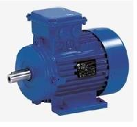 LT INDUCTION MOTORS