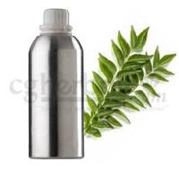 Curry Leaf oil