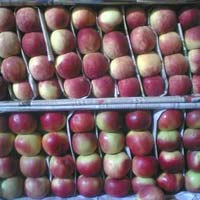 Kashmiri Apples