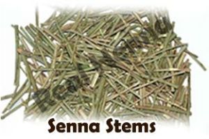 senna stemp