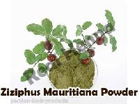 ziziphnus mauritiana powder