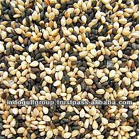 Sesame Seeds