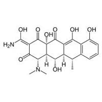 Doxycycline USP API MANUFACTURER