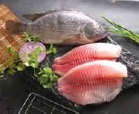 Tilapia Fish