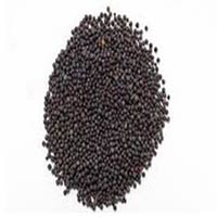 Mustard Seeds