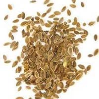 Dill Seeds