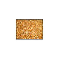 Yellow Corn Waste Meal