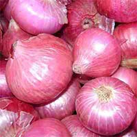 Fresh Onion