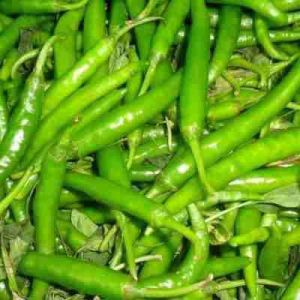 Green Chilli