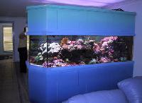 fish tank