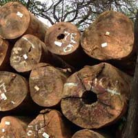 Mora Wood Logs