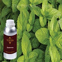 Spearmint Oil