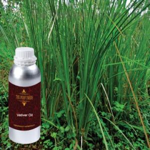 Vetiver Oil