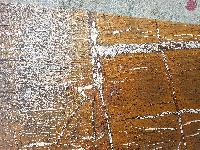 Rainforest Brown Antique Finish Granite