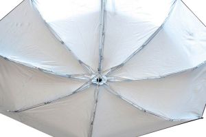 5 Fold Umbrella  in Color