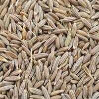 Cumin Seeds