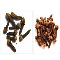 Cloves