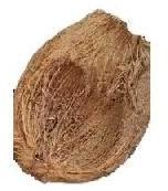 Coconut Husk