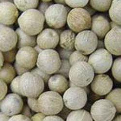 White Pepper Seeds