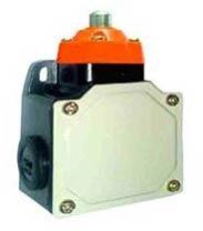 Wide Housing Limit Switches