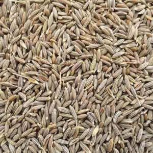 Cumin Seeds