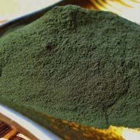 Spirulina Powder