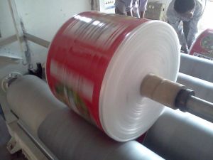 Woven Sack Fabric Lamination Plant