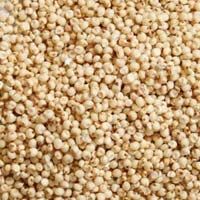 Jowar Seeds