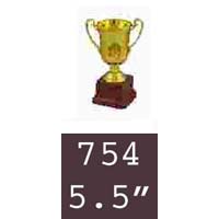 754 05-5 Inches Trophy