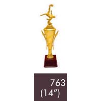 763 14 Inches Trophy