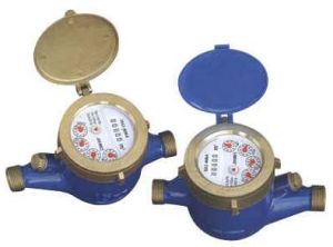 Domestic Water Meter