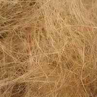 Coir Fiber