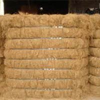 Coconut Coir Fiber