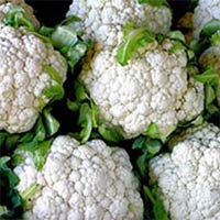 Fresh Cauliflower