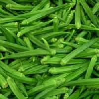 Bhindi Seed