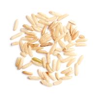 Rice Grain