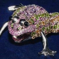 Silver Frog