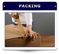 Packaging Logistics services