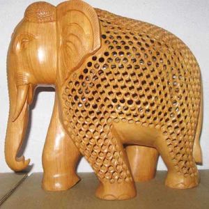 Elephant Under Cut